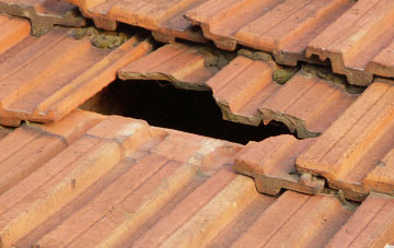 roof repair Millbank